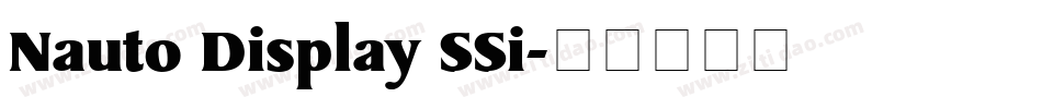 Nauto Display SSi字体转换